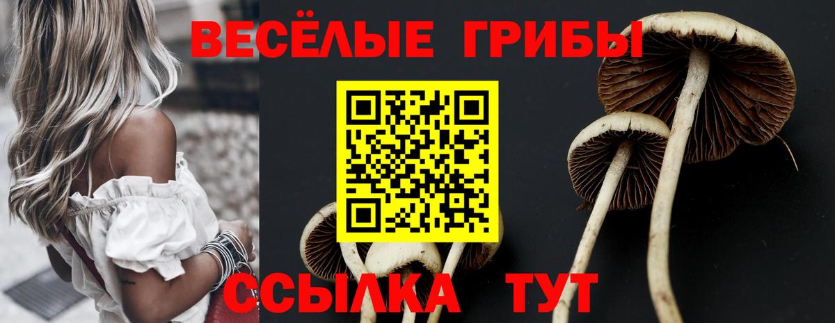 Тосно  Галлюциногенные грибы Magic Shrooms  Вход с VPN 